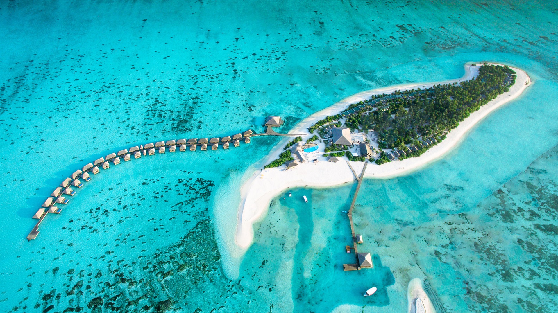 Cocoon Maldives Luxury Island Aerial View