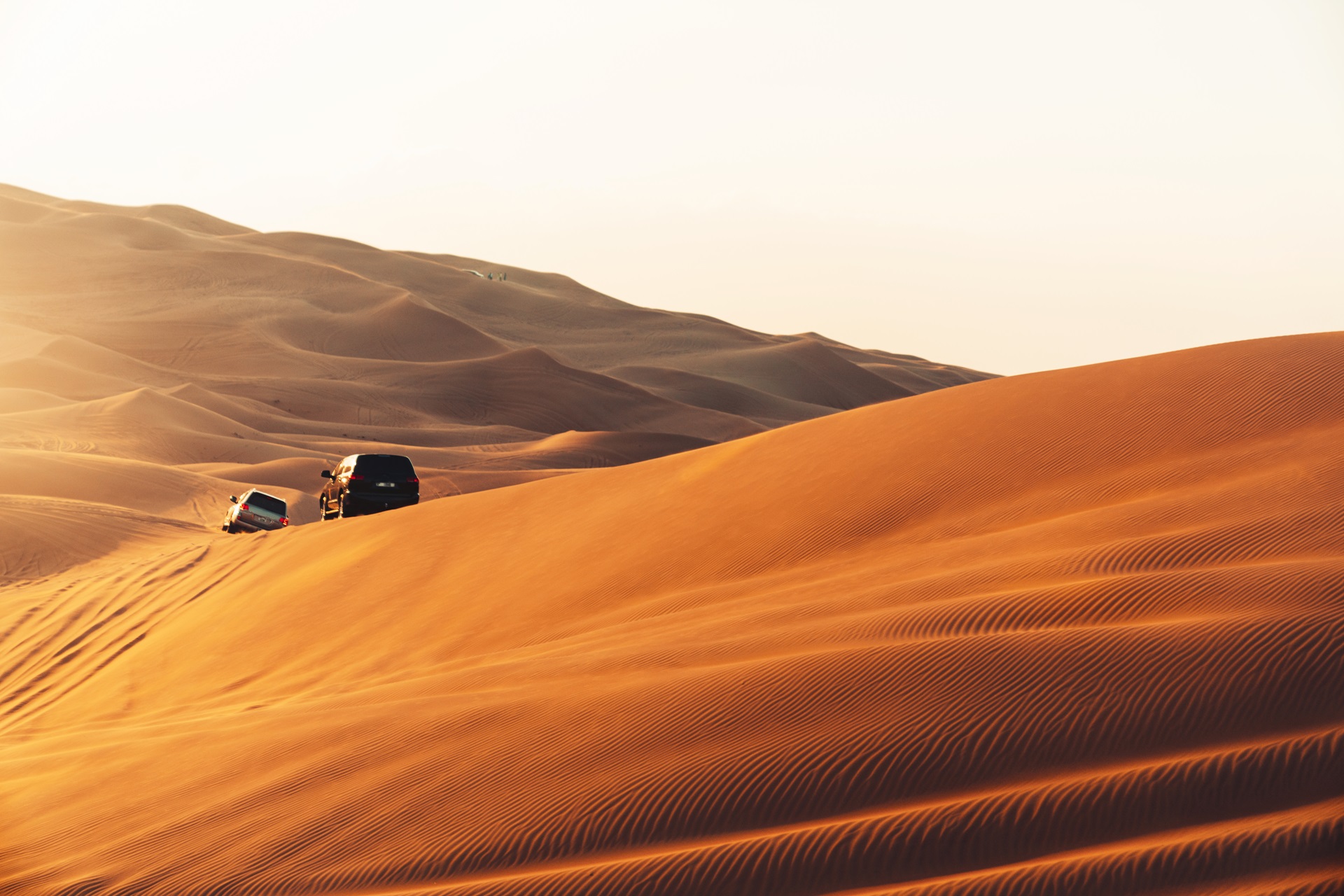 Dubai Desert Safari with dune bashing, camel ride and BBQ dinner experience