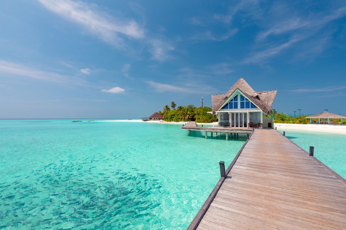 Dhigufaru Island Resort Arrival Pavilion in Baa Atoll Maldives