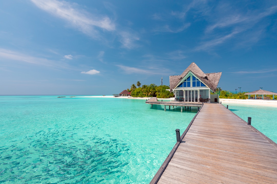 Dhigufaru Island Resort Arrival Pavilion in Baa Atoll Maldives