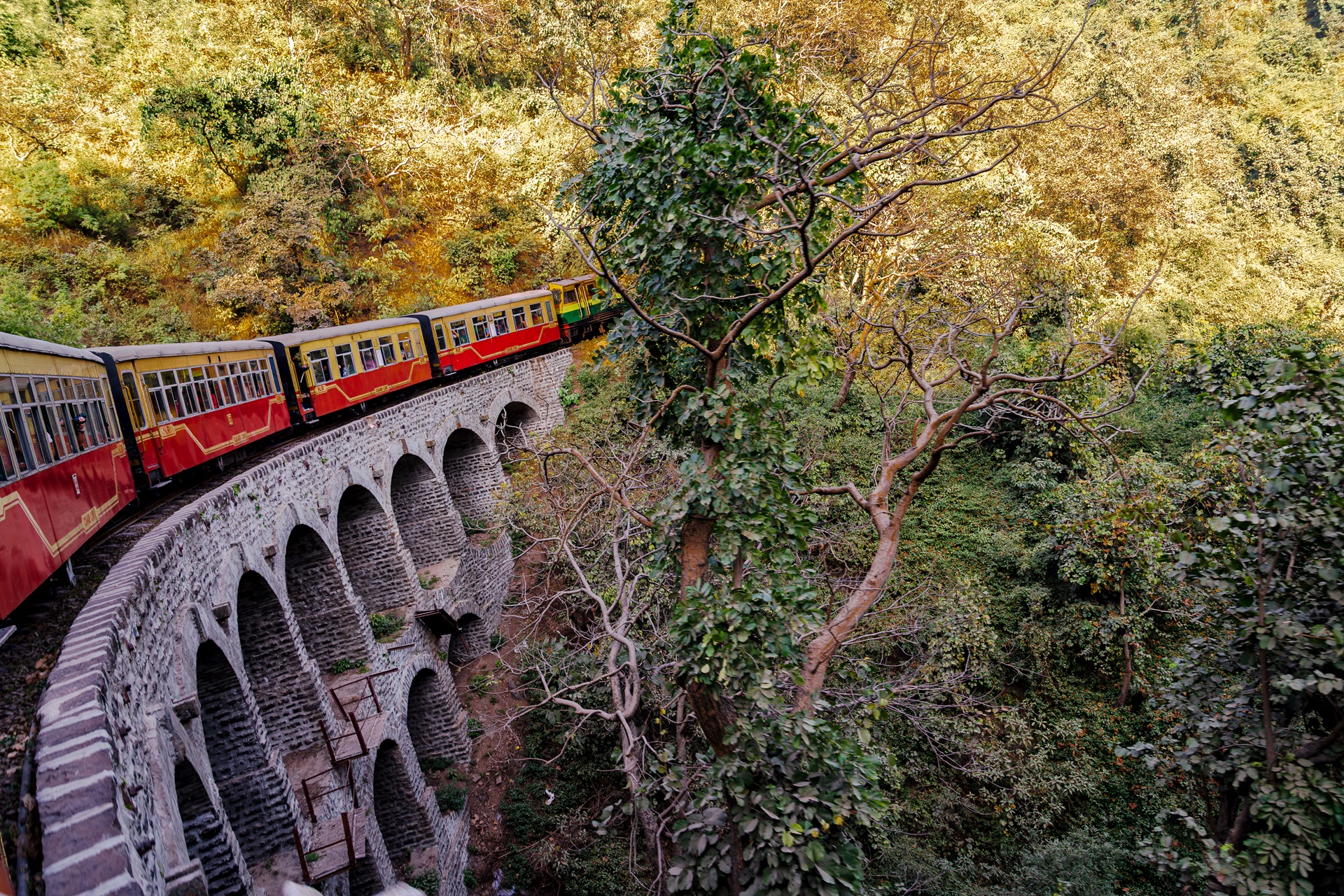 Himalayan Toy Train in Shimla India