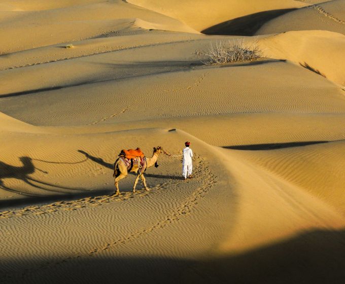 Sam Sand Dunes Jaisalmer Rajasthan India with camel