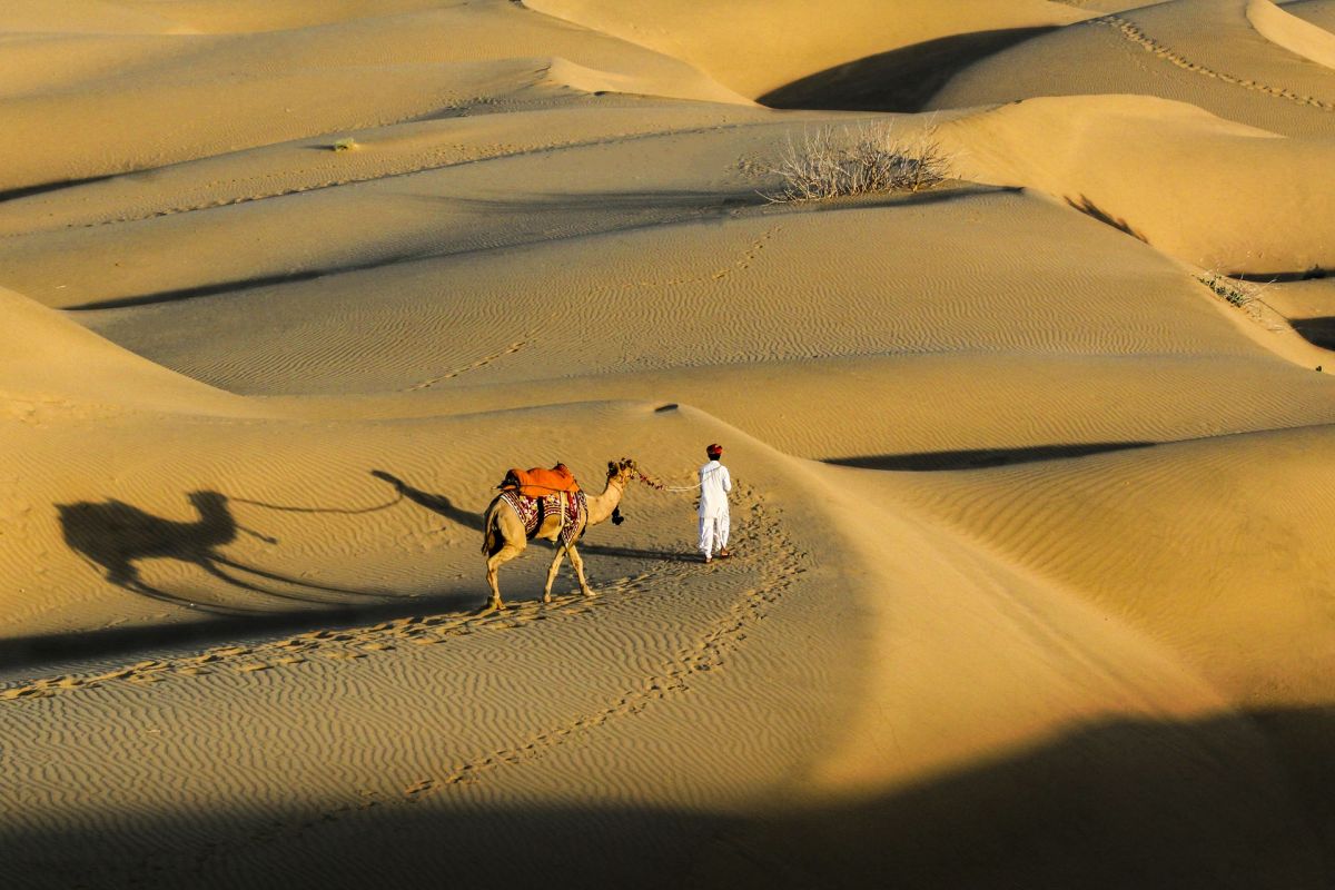 Sam Sand Dunes Jaisalmer Rajasthan India with camel